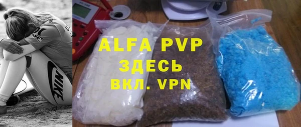 гашик Алексин