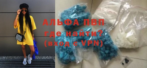 гашик Алексин