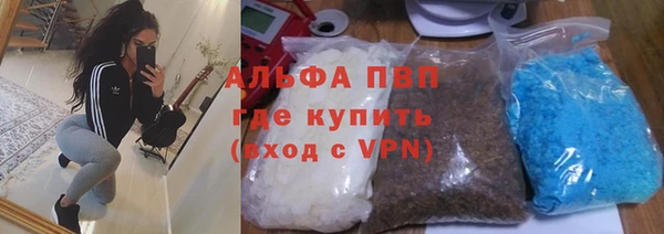 гашик Алексин