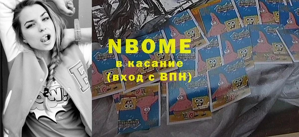 гашик Алексин