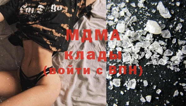 гашик Алексин