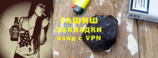 гашик Алексин