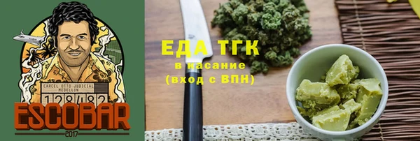 гашик Алексин