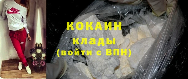 гашик Алексин